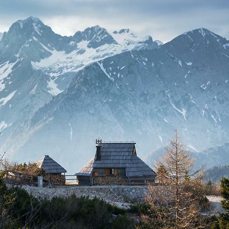 Willa Koca Ojstrica - Velika Planina Stahovica Zewnętrze zdjęcie