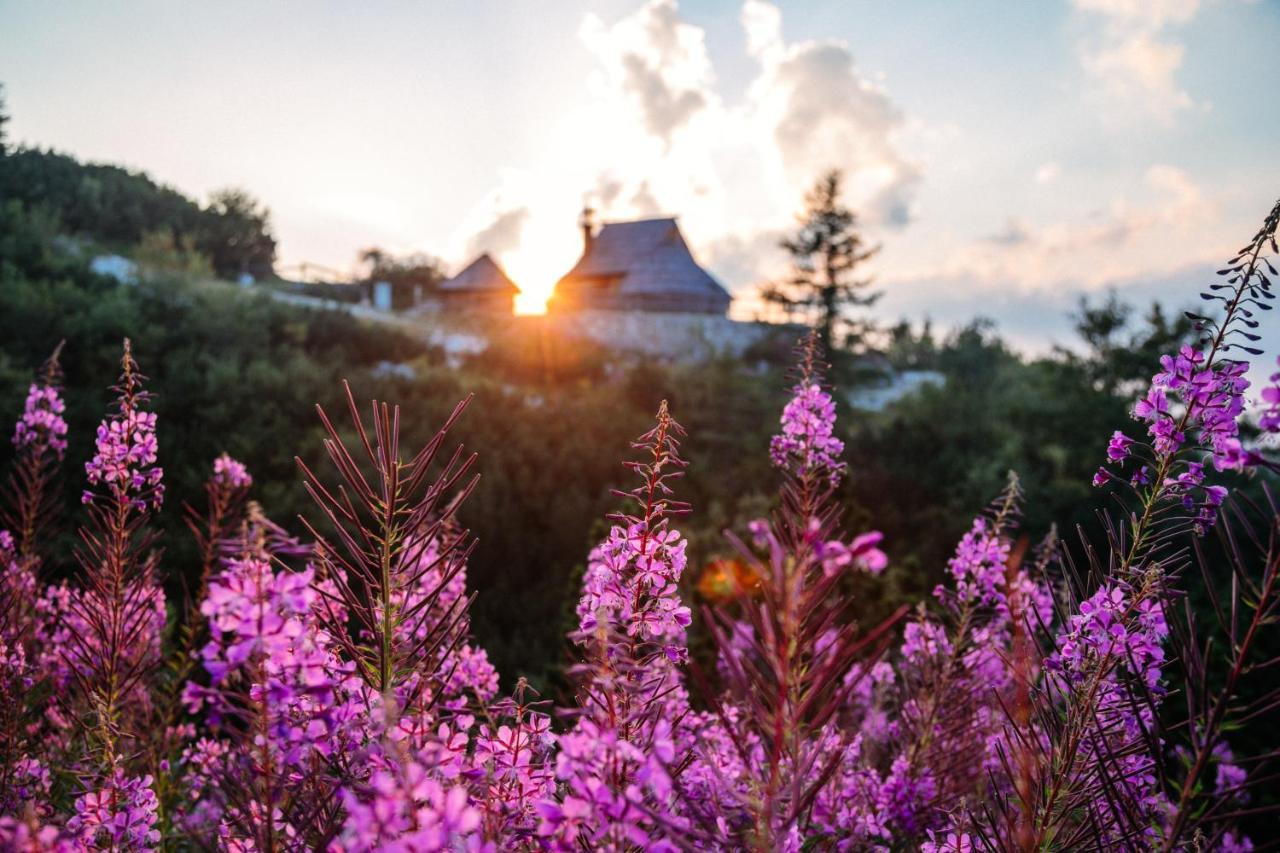 Willa Koca Ojstrica - Velika Planina Stahovica Zewnętrze zdjęcie