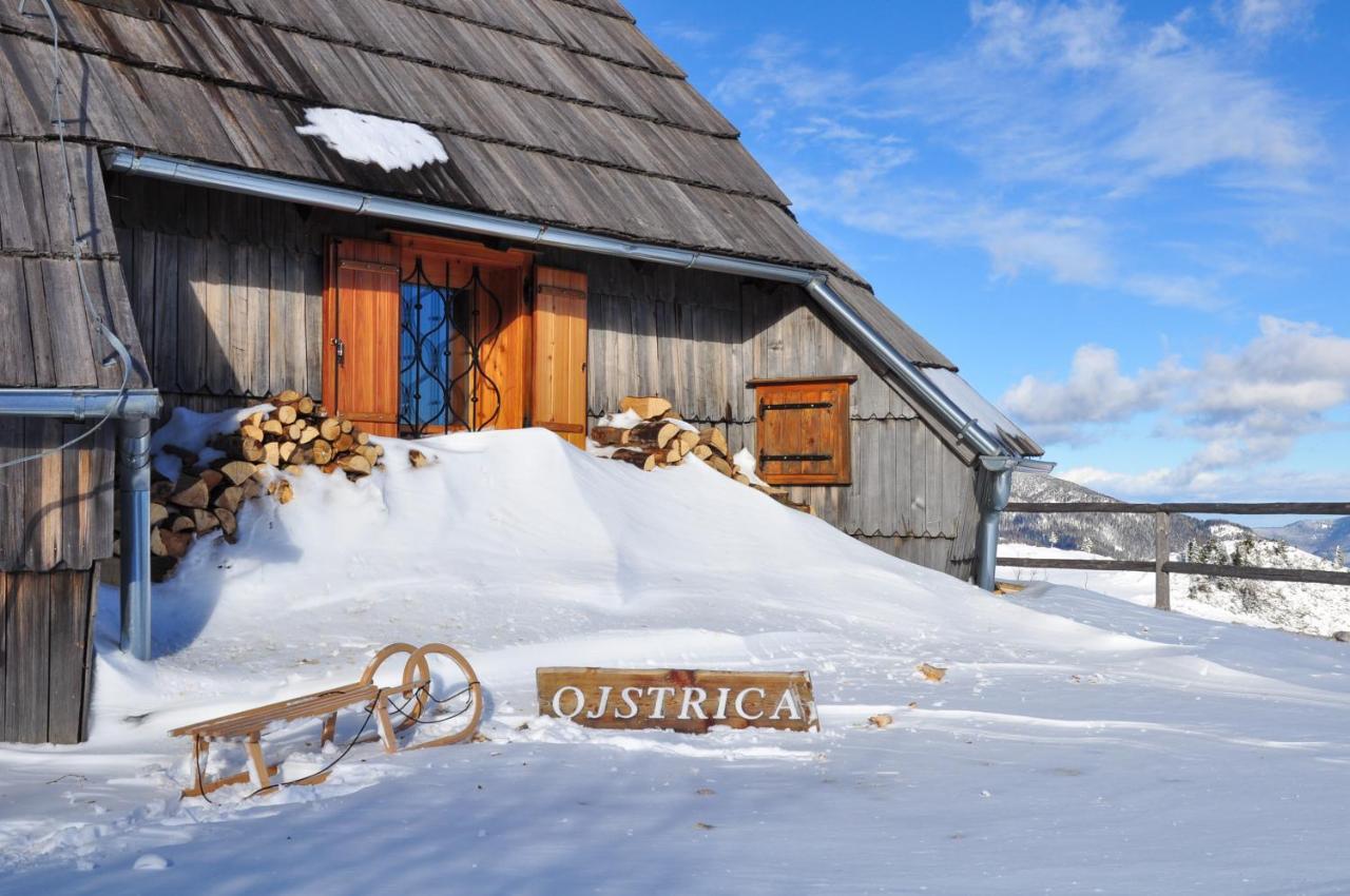 Willa Koca Ojstrica - Velika Planina Stahovica Zewnętrze zdjęcie
