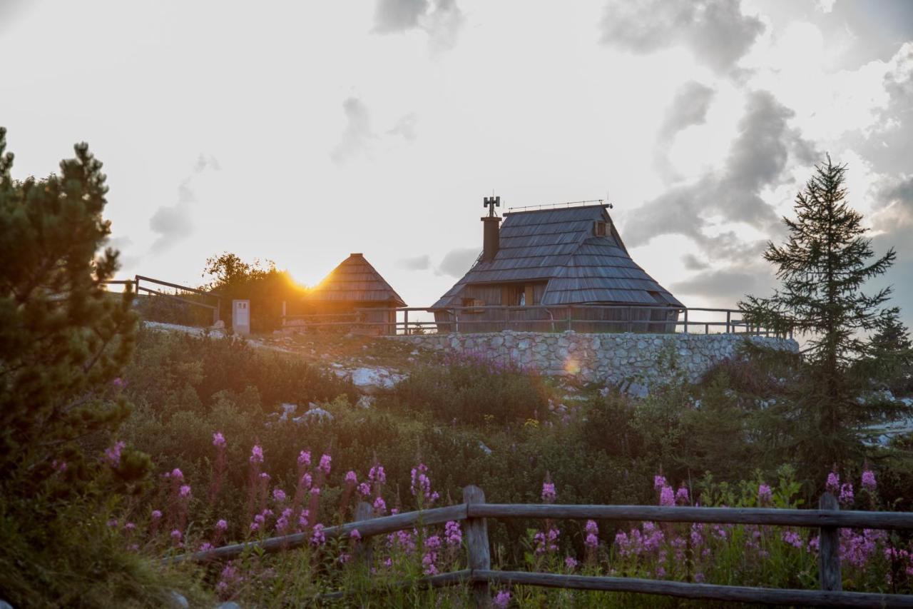 Willa Koca Ojstrica - Velika Planina Stahovica Zewnętrze zdjęcie