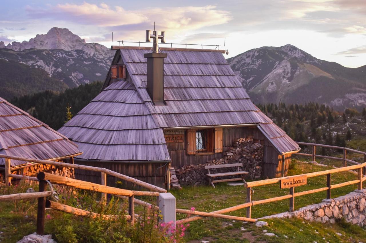 Willa Koca Ojstrica - Velika Planina Stahovica Zewnętrze zdjęcie