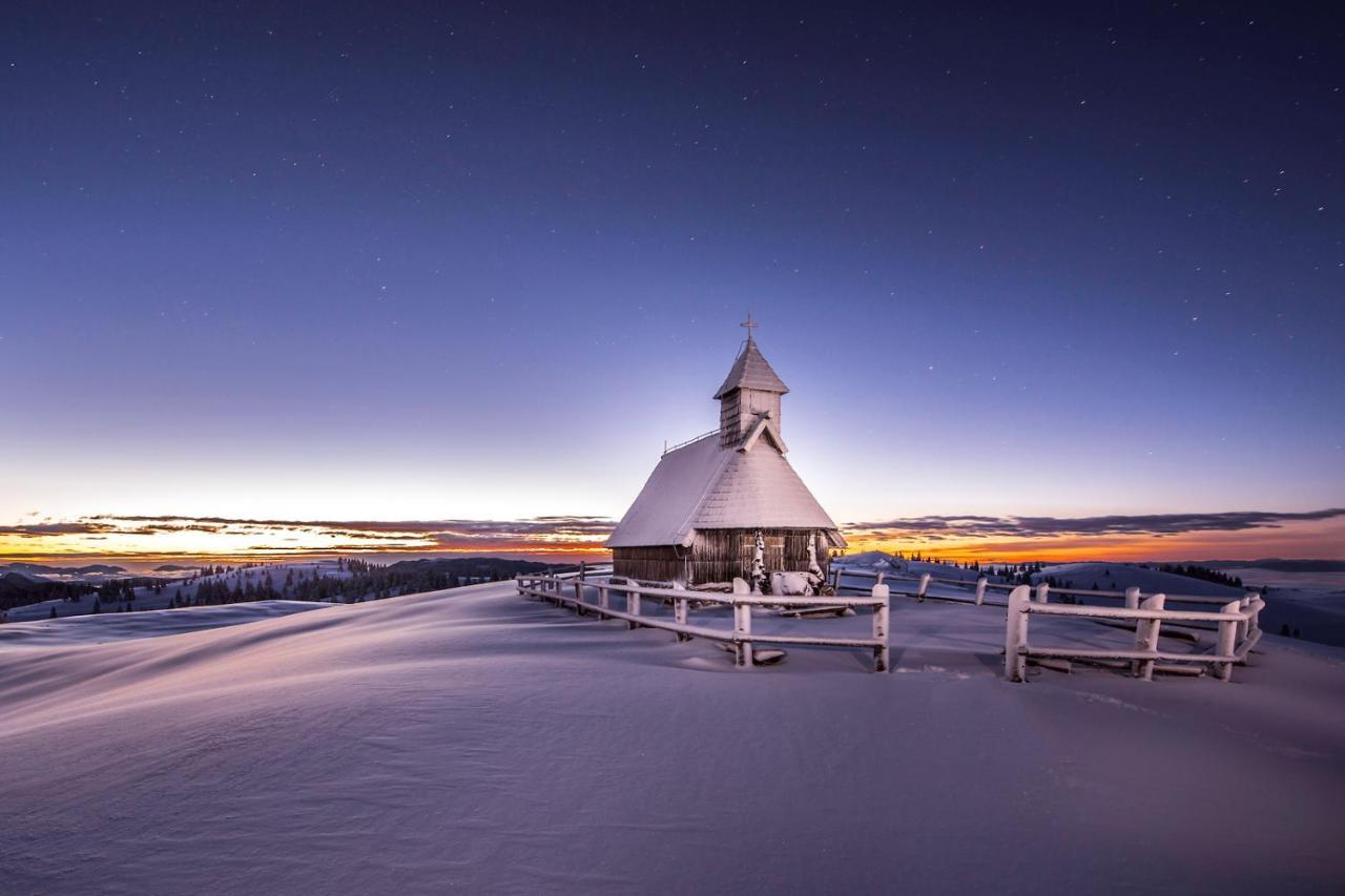 Willa Koca Ojstrica - Velika Planina Stahovica Zewnętrze zdjęcie