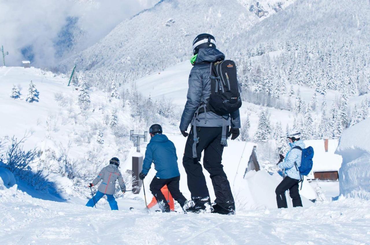 Willa Koca Ojstrica - Velika Planina Stahovica Zewnętrze zdjęcie