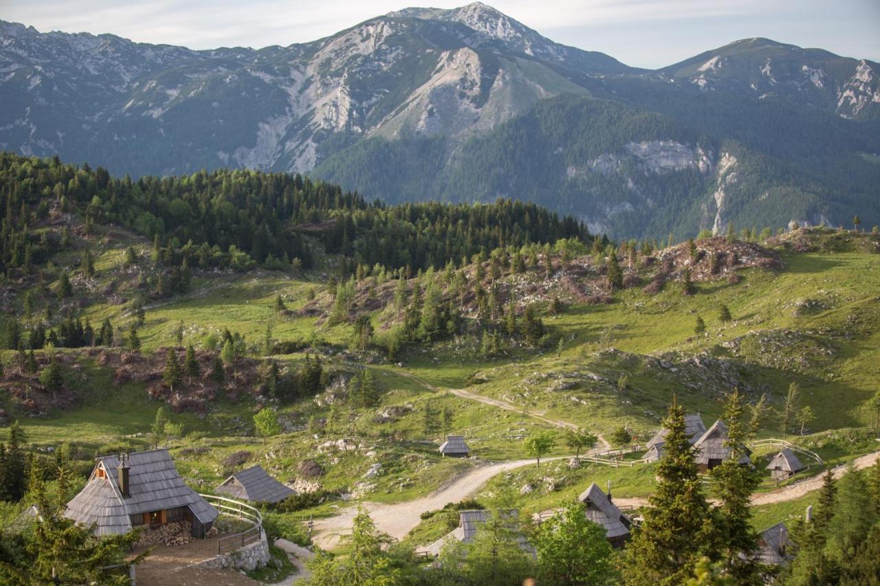 Willa Koca Ojstrica - Velika Planina Stahovica Zewnętrze zdjęcie