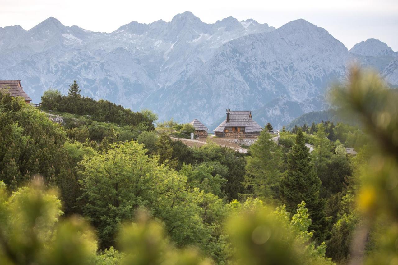 Willa Koca Ojstrica - Velika Planina Stahovica Zewnętrze zdjęcie