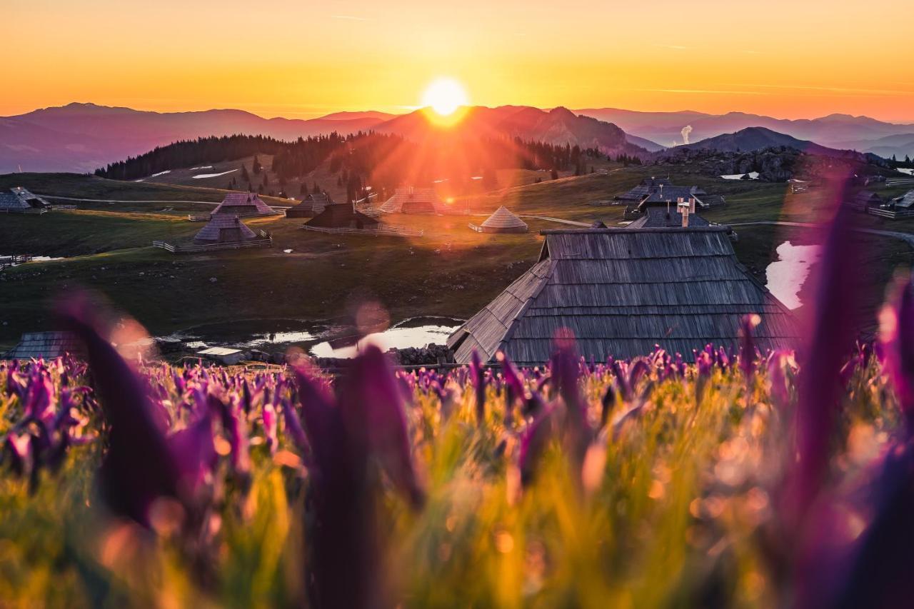 Willa Koca Ojstrica - Velika Planina Stahovica Zewnętrze zdjęcie