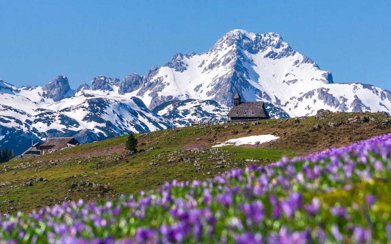 Willa Koca Ojstrica - Velika Planina Stahovica Zewnętrze zdjęcie