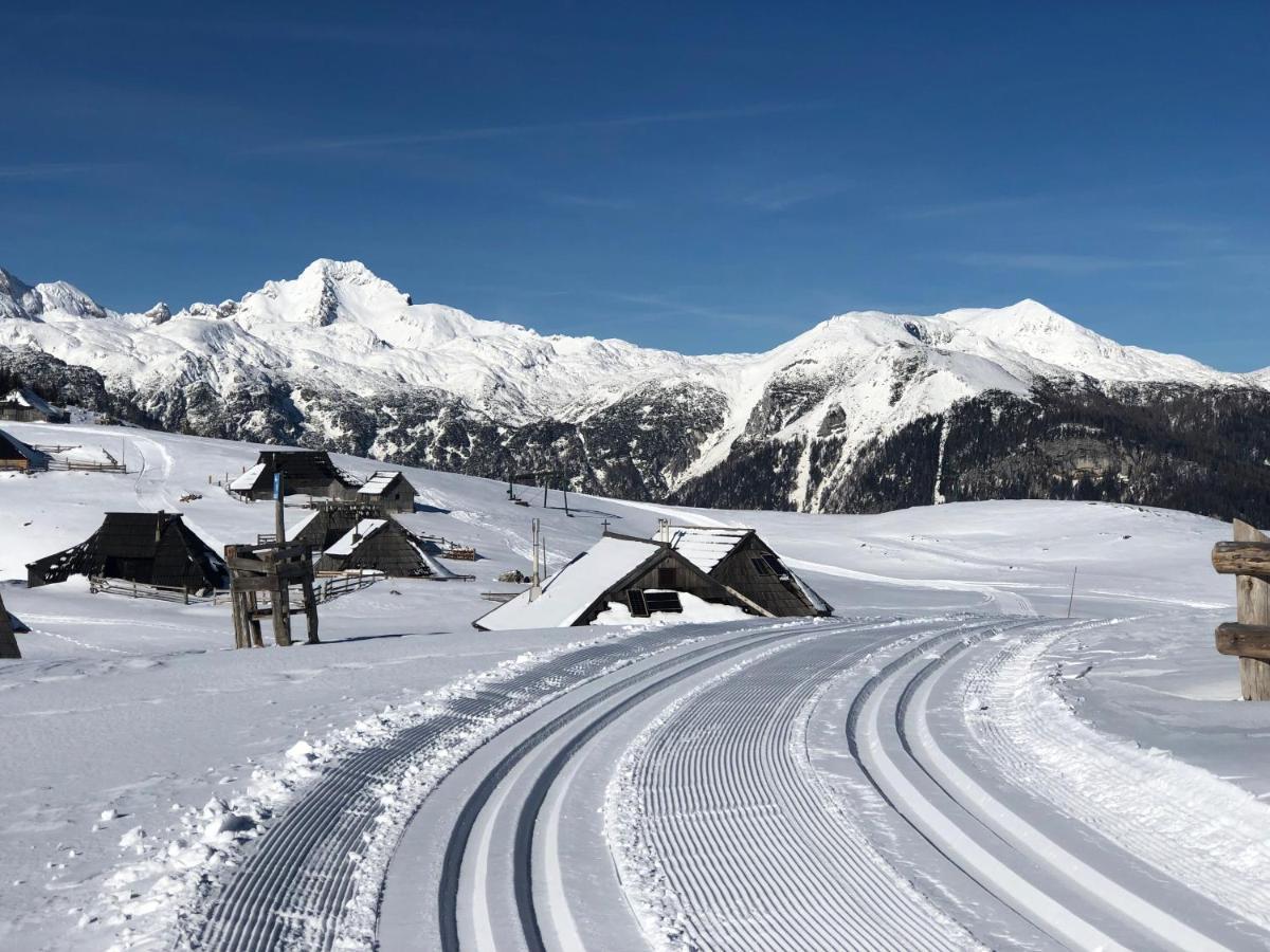Willa Koca Ojstrica - Velika Planina Stahovica Zewnętrze zdjęcie