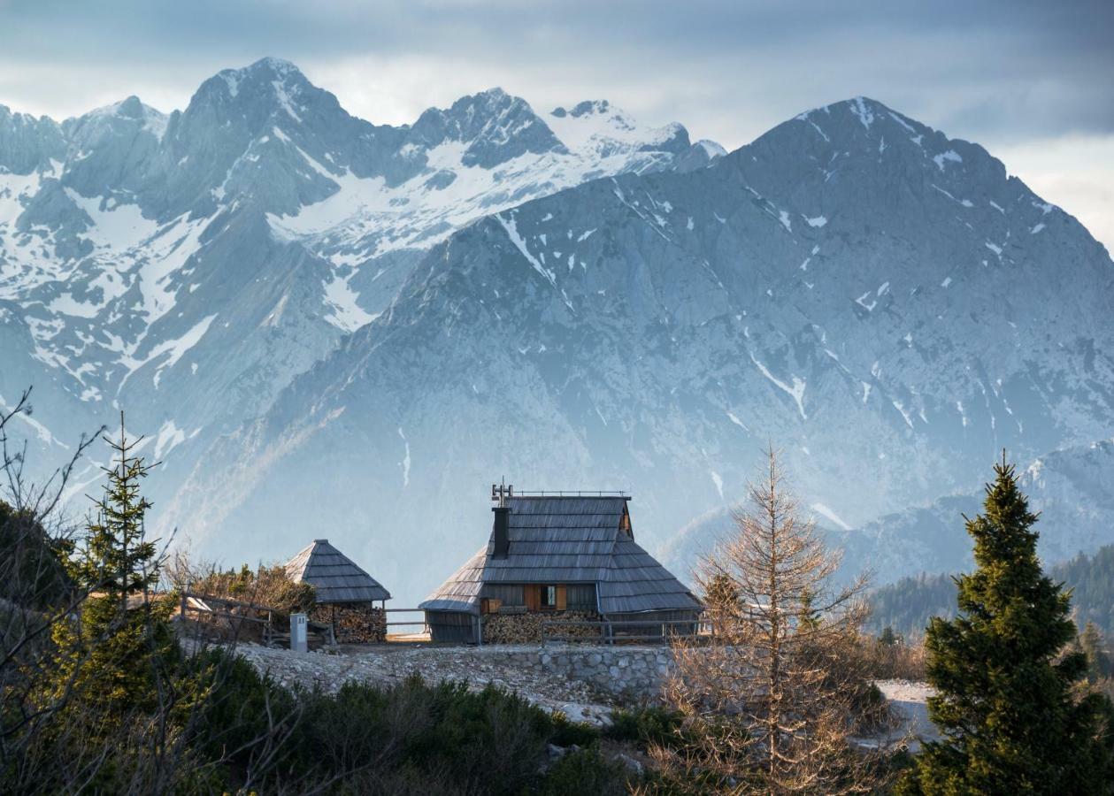 Willa Koca Ojstrica - Velika Planina Stahovica Zewnętrze zdjęcie